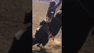 Rodeo California Salinas 2017 Championship Round 895 world champion bucking bull Spotted Demon [upl. by Janina]