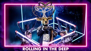 Edelhert  ‘Rolling In The Deep’  Aflevering 1  The Masked Singer  VTM [upl. by Frederique393]