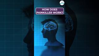 How Does a Painkiller Works painkiller shorts shortvideo [upl. by Scotti906]