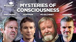 Mysteries of Consciousness Bernardo Kastrup Iain McGilchrist Donald Hoffman and Rupert Sheldrake [upl. by Dralliw380]