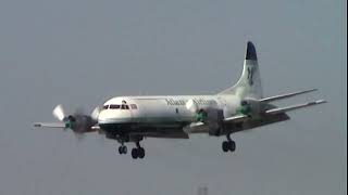 LOCKHEED ELECTRA GFIJV action  vintage turboprop  2004  OSTEND AIRPORT [upl. by Sidhu162]