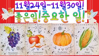 🌈✨타로🌸11월24일11월30일🌸 주간타로 좋은 일 중요한 일  🍇🍎🎃🌽 [upl. by Saied]