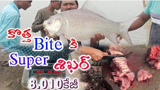 8010 kg bocha fish katla fishing feederfishing trending youtubevideo villagefishing katla [upl. by Brownson]