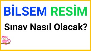 Bilsem Resim Sınavı  Görsel Algı Testi  Soru Örnekleri [upl. by Joacimah]