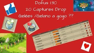 Dofus 130 20 Captures Gelées sur Clustus Go Gelano  5 [upl. by Akienaj]