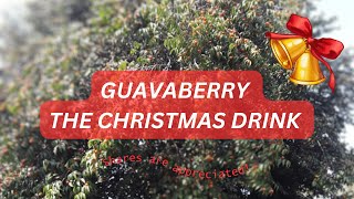 Guavaberry Juice  The Caribbean Christmas Drink [upl. by Hoyt]