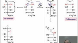 Basepromoted Sugar Isomerization [upl. by Durstin]