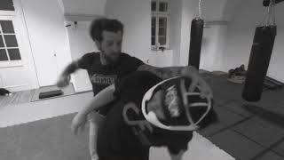 Systema Real Speed Selfdefense against a straight punch Systema is slow [upl. by Andri]