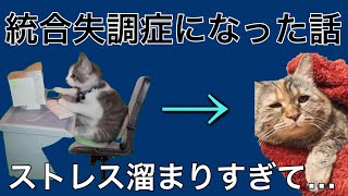 統合失調症になった話【猫ミーム】【猫マニ】 [upl. by Aset]