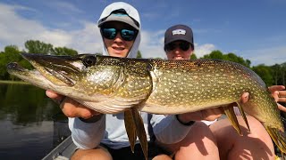 Im Back Opening Day PB Pike [upl. by Yesnnyl]