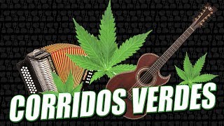 CORRIDOS VERDES  ¿Qué son ¿De dónde salieron [upl. by Conte]