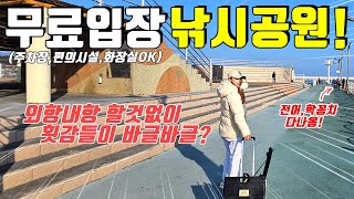 가족 낚시공원 동해권 바다낚시 여행지로 추천합니다 초보자도 쉽게 손맛 볼 수 있어요 [upl. by Hannon]