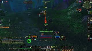 Stuffit Sod Balance Druid 2v1 Level 25 [upl. by Dahij]