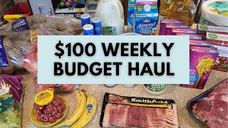 100 Weekly Grocery Haul  Grocery Shopping on a Budget for a Family of 6 [upl. by Yousuf]