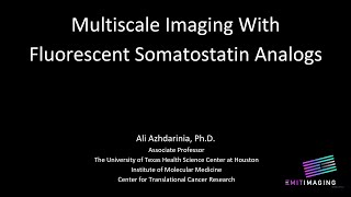 Multiscale Imaging With Fluorescent Somatostatin Analogs [upl. by Jochebed392]