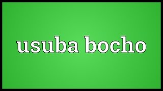 Usuba bocho Meaning [upl. by Mable]