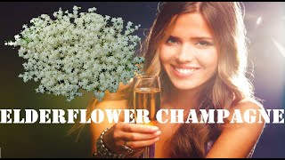 Elderflower Champagne Pt 1 [upl. by Suolkcin]