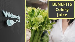 Top 7 Health Benefits of Celery Juice [upl. by Penelope]