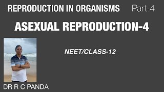 ASEXUAL REPRODUCTION4  REPRODUCTION IN ORGANISMS PART4  NEET  CLASS12  Dr Ramesh Panda [upl. by Gaye454]