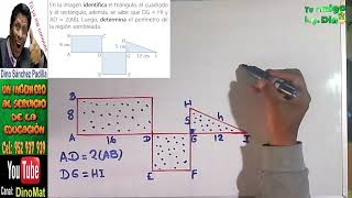 ÁREAS Y PERÍMETROS 44 [upl. by Ylro]