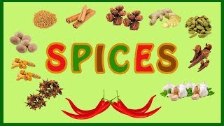 Spices names in English for kids  Spices names in English with animated pictures  Spices Am A Kid [upl. by Akinaj224]