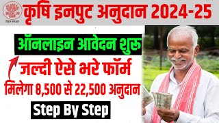 Bihar Krishi Input Anudan 202425 Online Apply  Bihar Krishi Input Anudan Form Kaise Bhare 202425 [upl. by Fafa22]