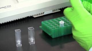 DNA Quantitation Using a Spectrophotometer [upl. by Nomael]