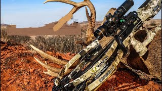 TOP 5 BEST New HUNTING CROSSBOW 2022 [upl. by Kondon792]