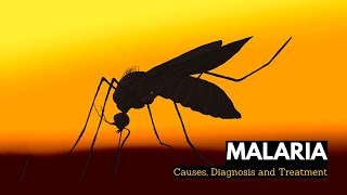 What is Malaria Causes Signs and Symptoms Diagnosis and Treatment [upl. by Mik]