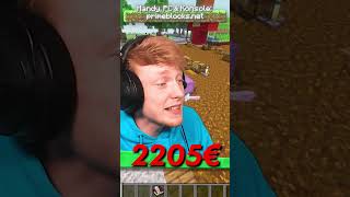 Ihr GLAUBT NIEMALS wie dieser SPIELER über 2000 EURO SCHADEN in MINECRAFT verursacht hat 😱 [upl. by Hymen]