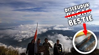 Pendakian Gunung Cikuray Garut Via Pemancar  Budget  BONUS PENAMPAKAN TENDA DISERUDUK BESTIE [upl. by Ipoillak]