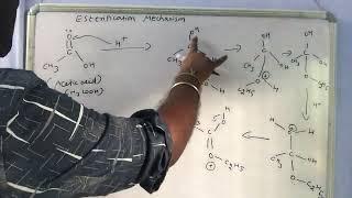 Mechanism of esterification Tamil [upl. by Owen236]