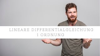 Lineare Differentialgleichung DGL 1 Ordnung  Einfach erklärt [upl. by Guerin152]