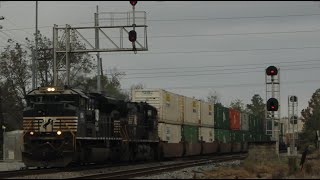 Railfanning Cordele GA November 20th 2023 Feat NS Heritage Unit Part 1 [upl. by Heinrich]