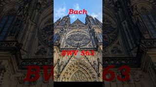 BWV 563 JS Bach Abonneer voor meer👍 jsbach bach [upl. by Strohben]