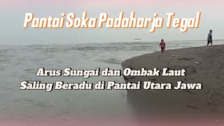 Ombak Laut Beradu Dengan Arus Sungai di Muara Pantai Soka Padaharja Kramat Tegal [upl. by Cigam]