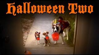 Halloween Two Dog Tricks [upl. by Kenji]