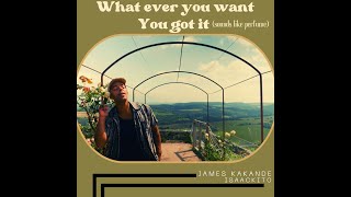 Whatever You Want You Got It Sounds Like Perfume  James Kakande Isaackito [upl. by Geithner]