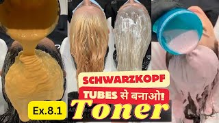 Toner Color Class Ex81  Schwarzkopf Tube से कैसे बनाए Hair Toner Detail Class  Salonfact [upl. by Rosemaria]