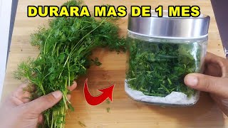 El CILANTRO se conserva fresco durante Muchos meses con este INCREIBLE truco  te SORPRENDERAS [upl. by Nimrahc971]