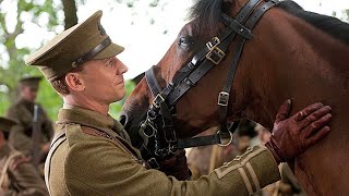 A War Horse Experiences The Battles In France Before Reunite With His Owner [upl. by Teillo]