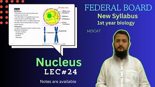 Nucleus  Structure and function of Nucleus  class 11 [upl. by Eeladnerb]