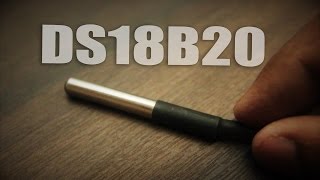 DS18B20 Temperature Sensor Tutorial [upl. by Theresina]