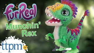 FurReal Munchin Rex from Hasbro [upl. by Kinny]