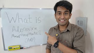 Learn What is Adenosine Monophosphate AMP   AMP  The Energy and Signal Messenger  in Biology [upl. by Aimas]