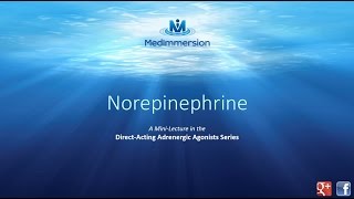 Norepinephrine [upl. by Ahilam]