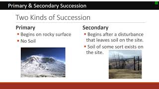 Rangeland Succession [upl. by Blondell]