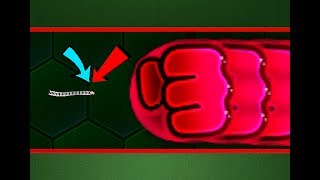 Wormaxio TINY PRO Vs BIG NOOB  Best Wormaxio Gameplay  Funny wormaxio moments Biggest Worms [upl. by Persse]