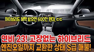 하이브리드 혜택 받으면 600만 원 대까지 내려옴 공인연비가 18km 고장없이 오래 탈 수 있는 국밥 하이브리드 [upl. by Cyna651]