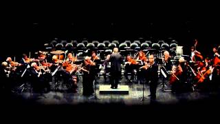 Franz DopplerAndante et Rondo op 25 pour 2 flûtes Orchestre symphonique de Narbonne [upl. by Aalst]